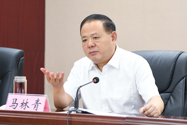 省政府食安辦主任、省市場監(jiān)管局書記馬林青講話