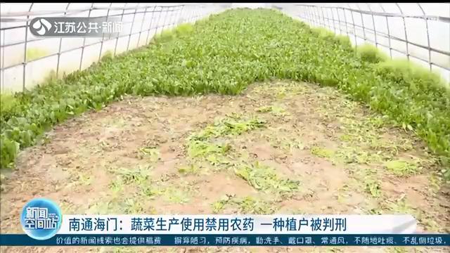 南通濫用農藥